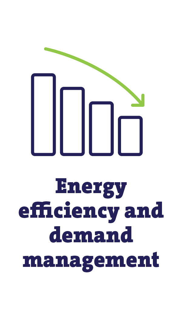 energy efficiency and demand management