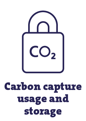 Carbon capture utilisation and storage