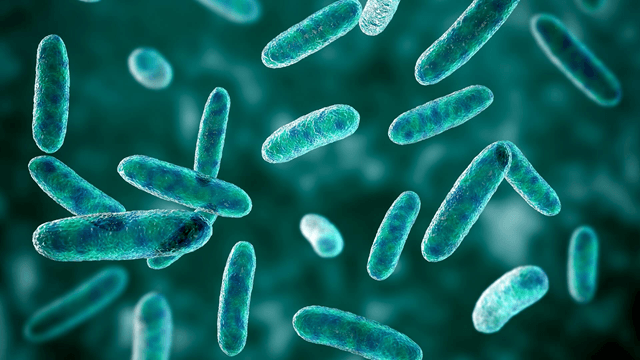 Reservoir Microbiology Forum (RMF) image