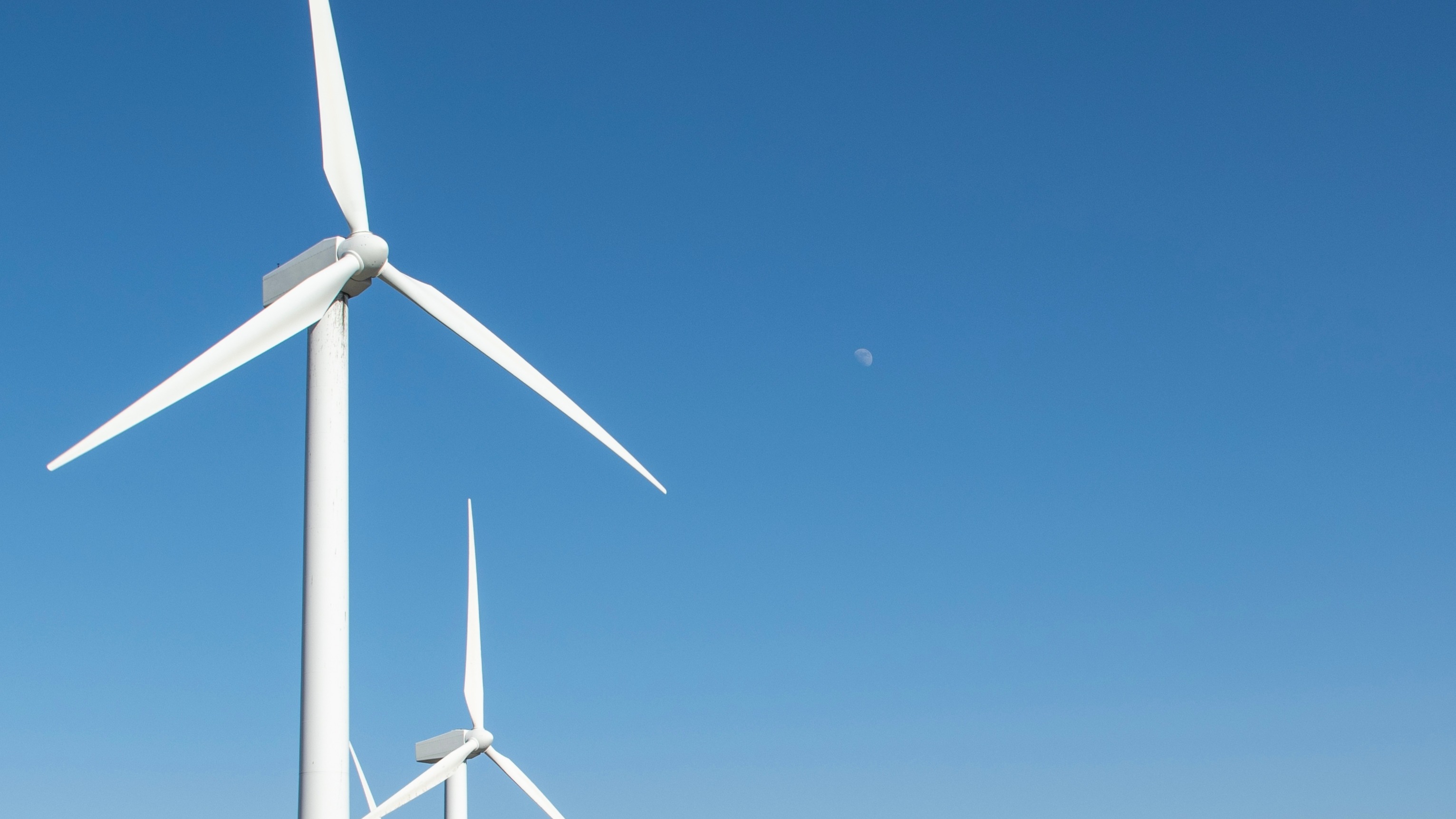 JERA Nex bp safety leader appointed Chair of global offshore wind group image