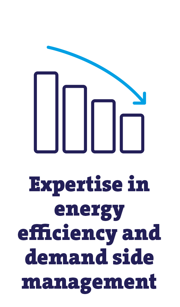 expertise in energy efficiency and demand side management