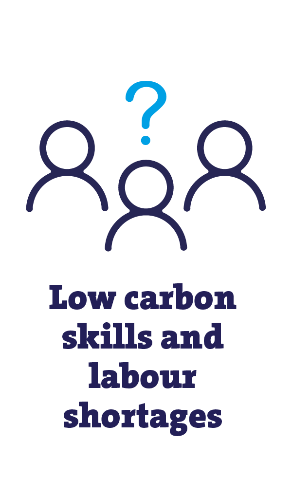 low carbon skills and labour shortages