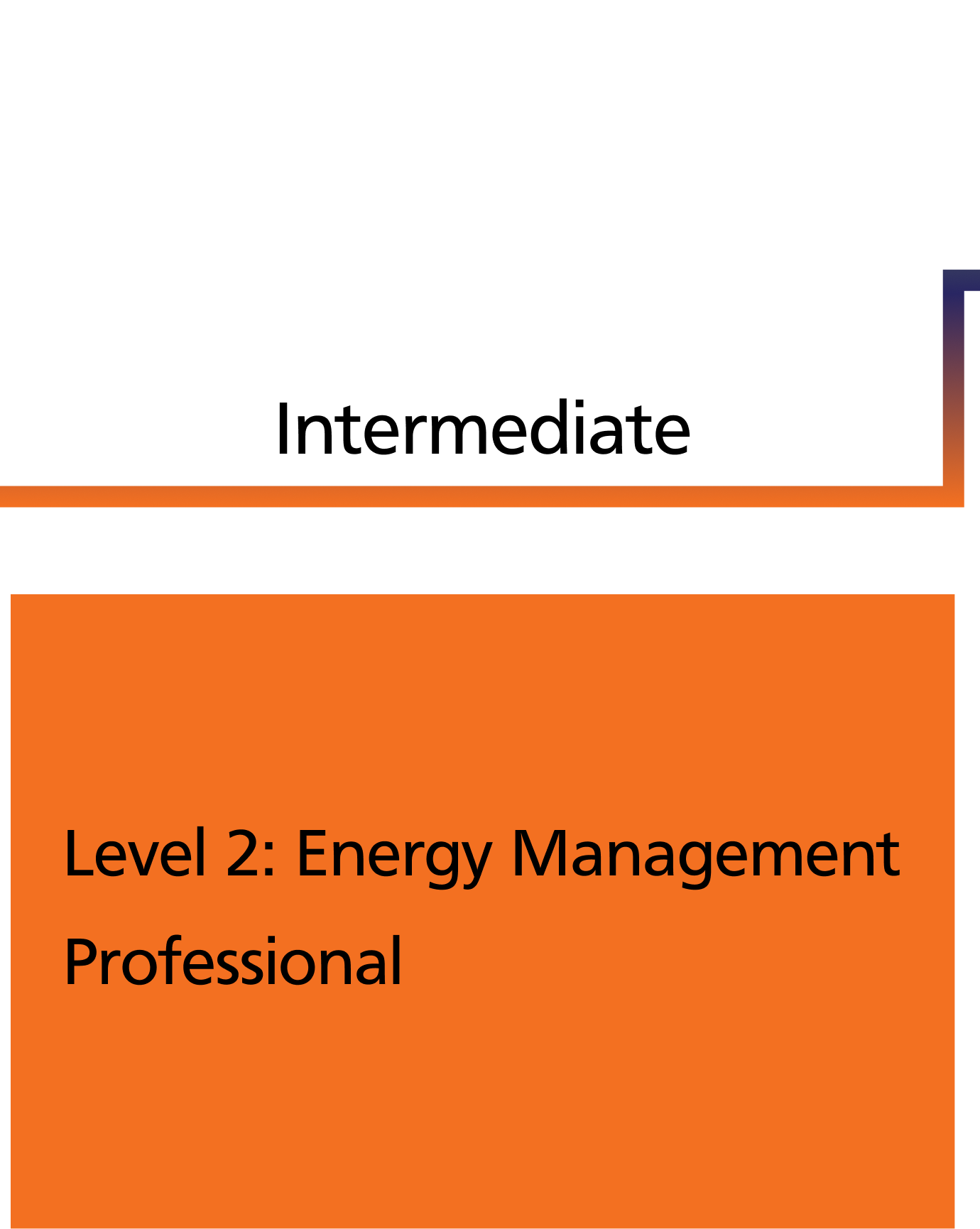Level 2: Energy Management Professional
