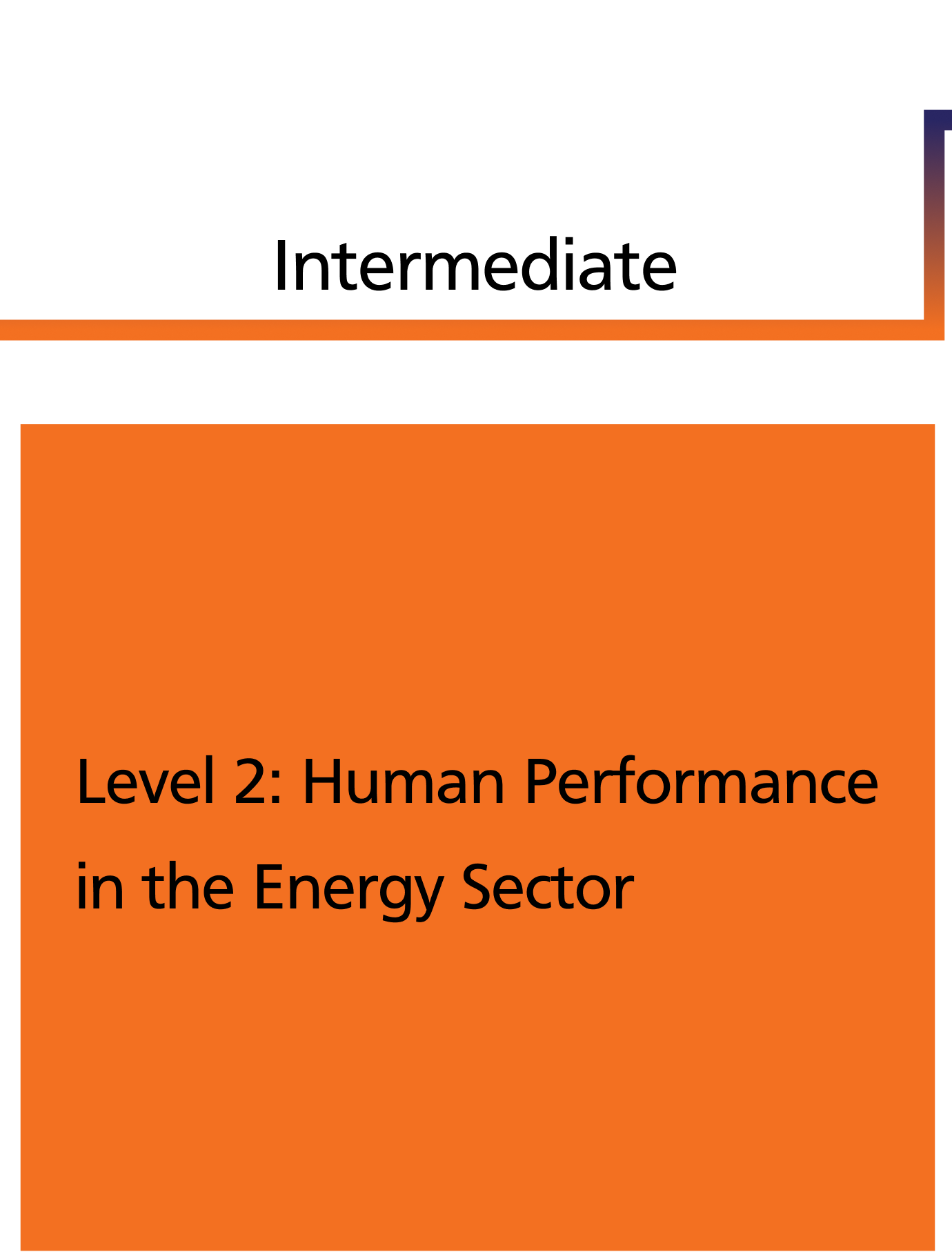 Level 2: Human Performance in the Energy Sector