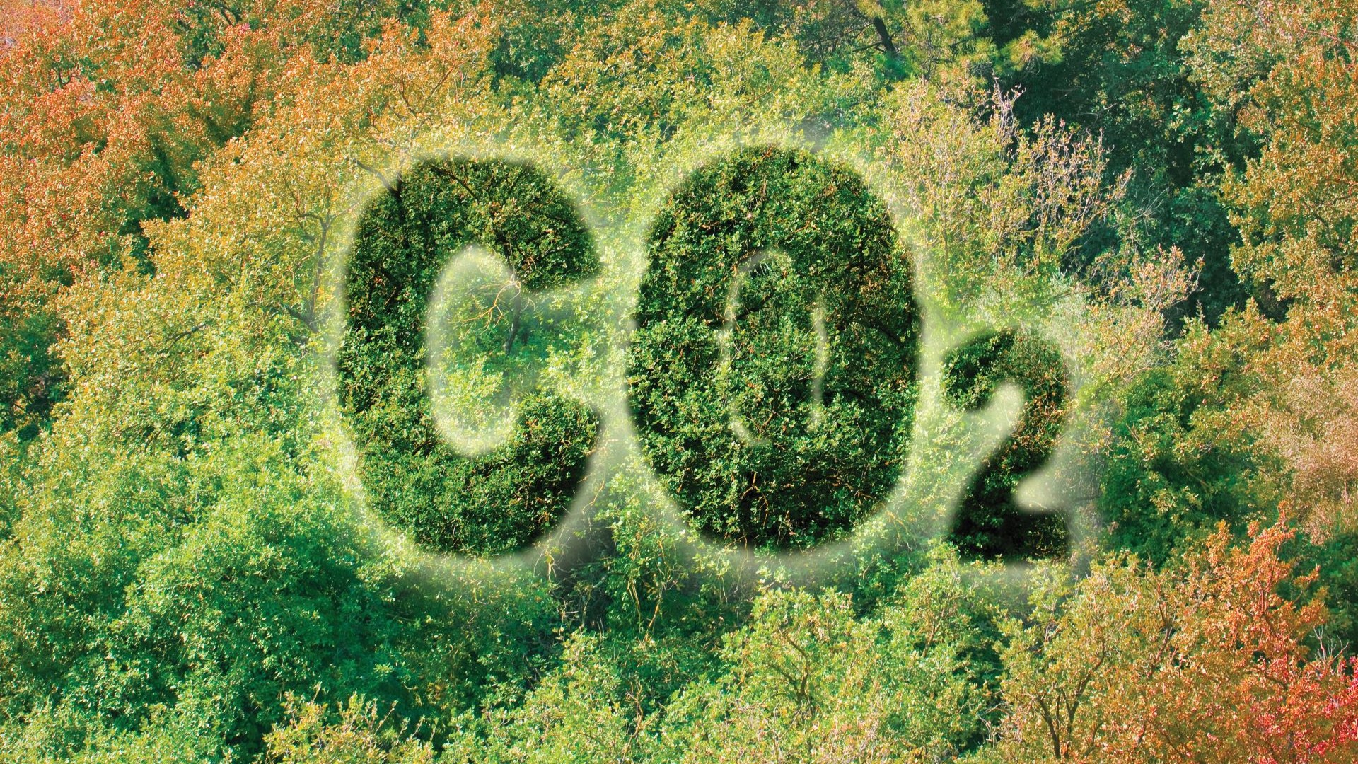 Aerial view of green forest with with CO2 lettering floating above canopy