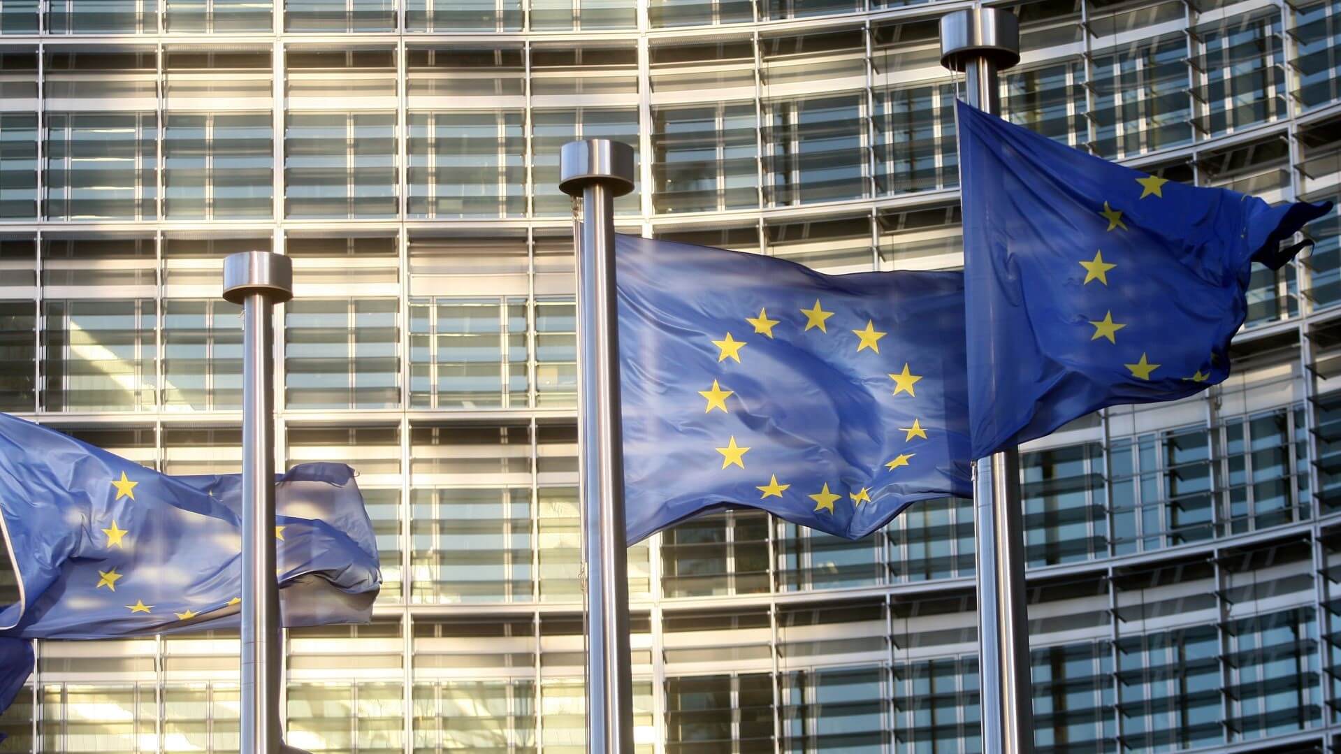 Row of EC flags flying