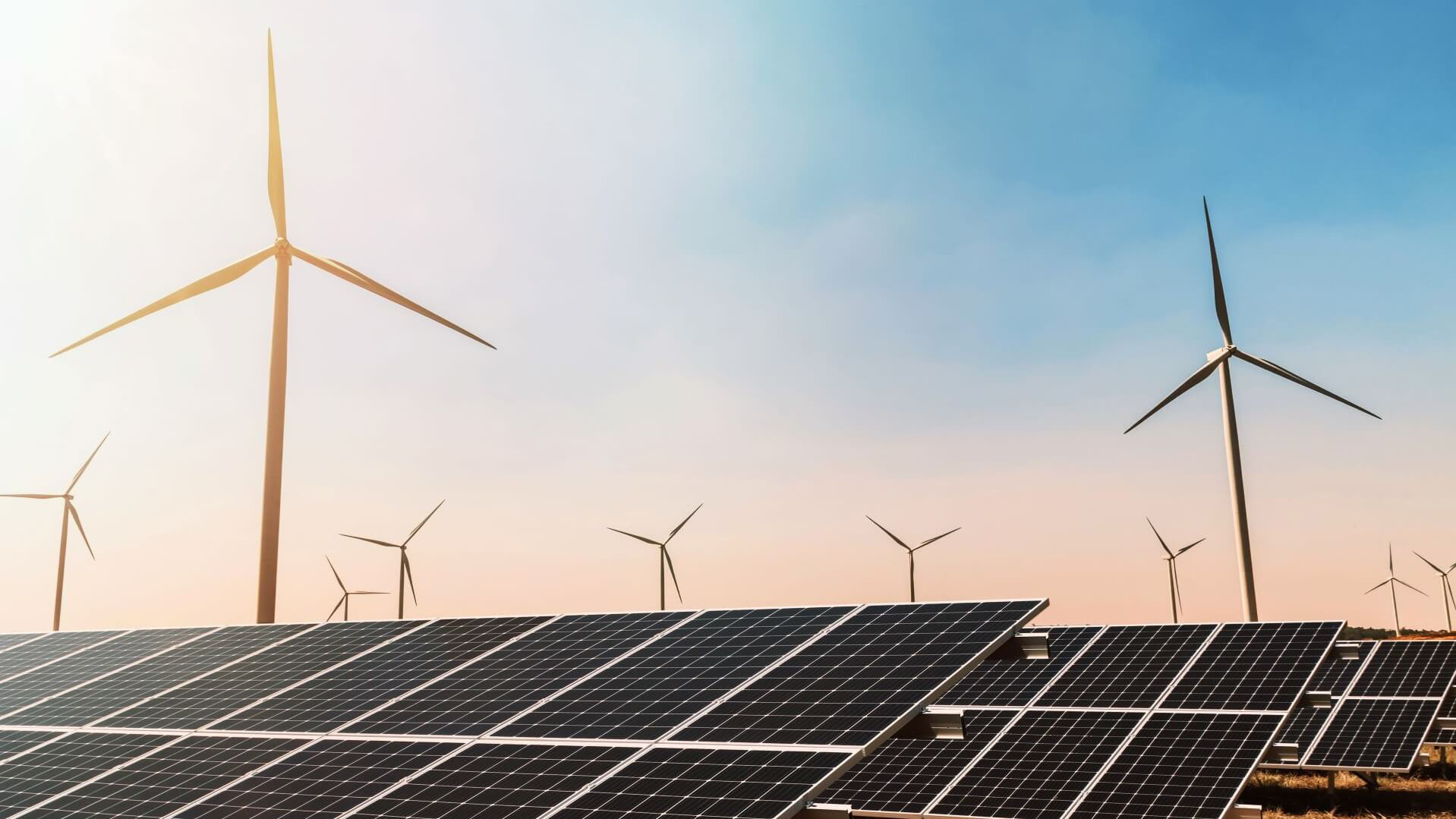 Wind turbines and solar panels at sunset