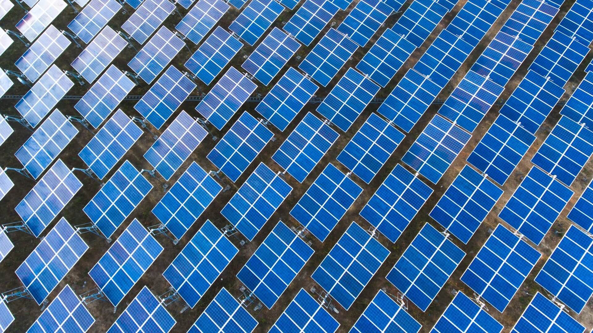 Aerial view of solar panels 