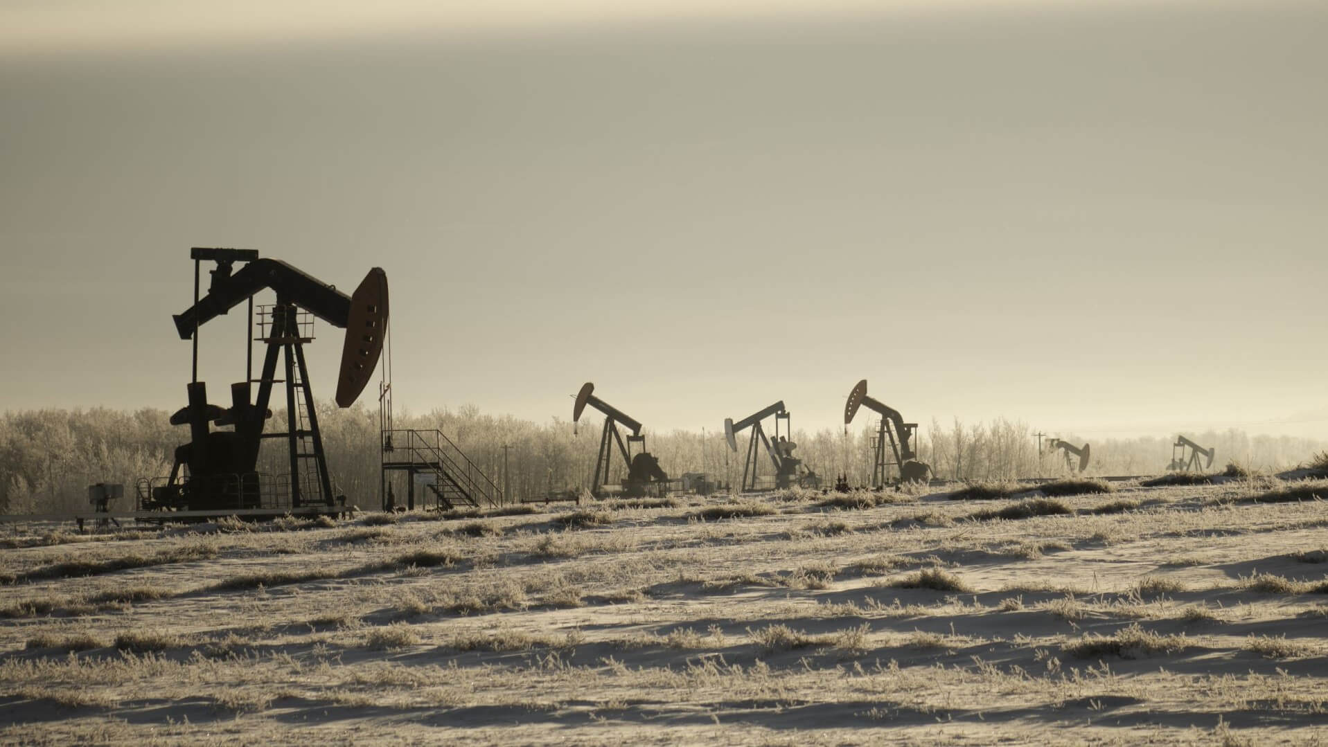 Pump jacks in a field