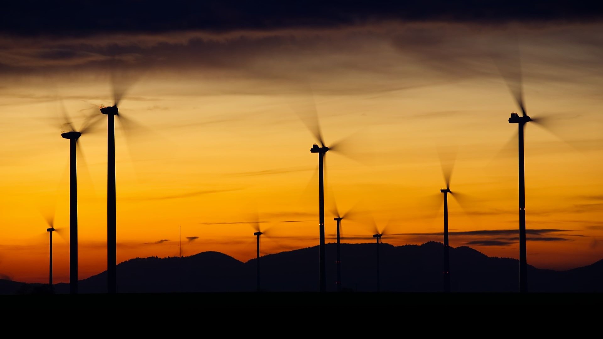 Wind farm at sunset