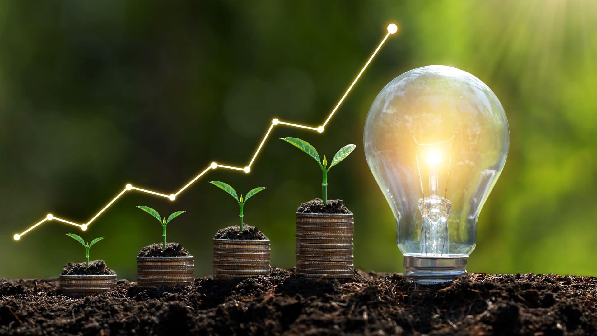 A row of four small seedlings in soil, growing bigger left to right, with lit lightbulb to right, set against green background
