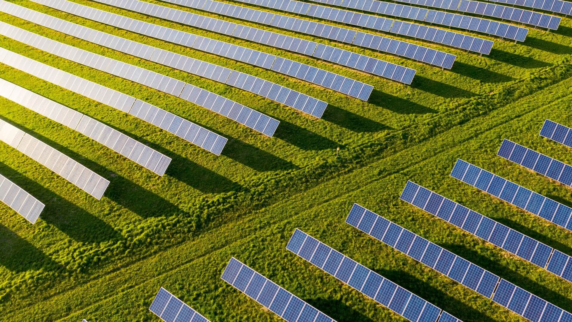 Aerial view of rows of solar panels in a field