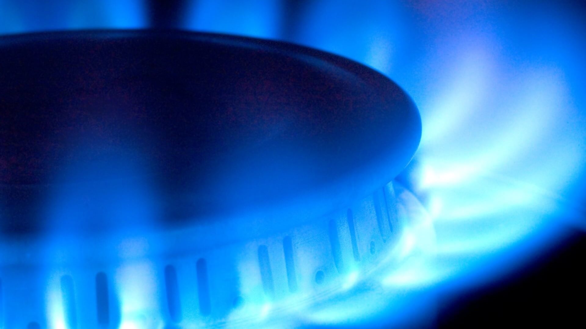 Close up of gas burner with blue flames 