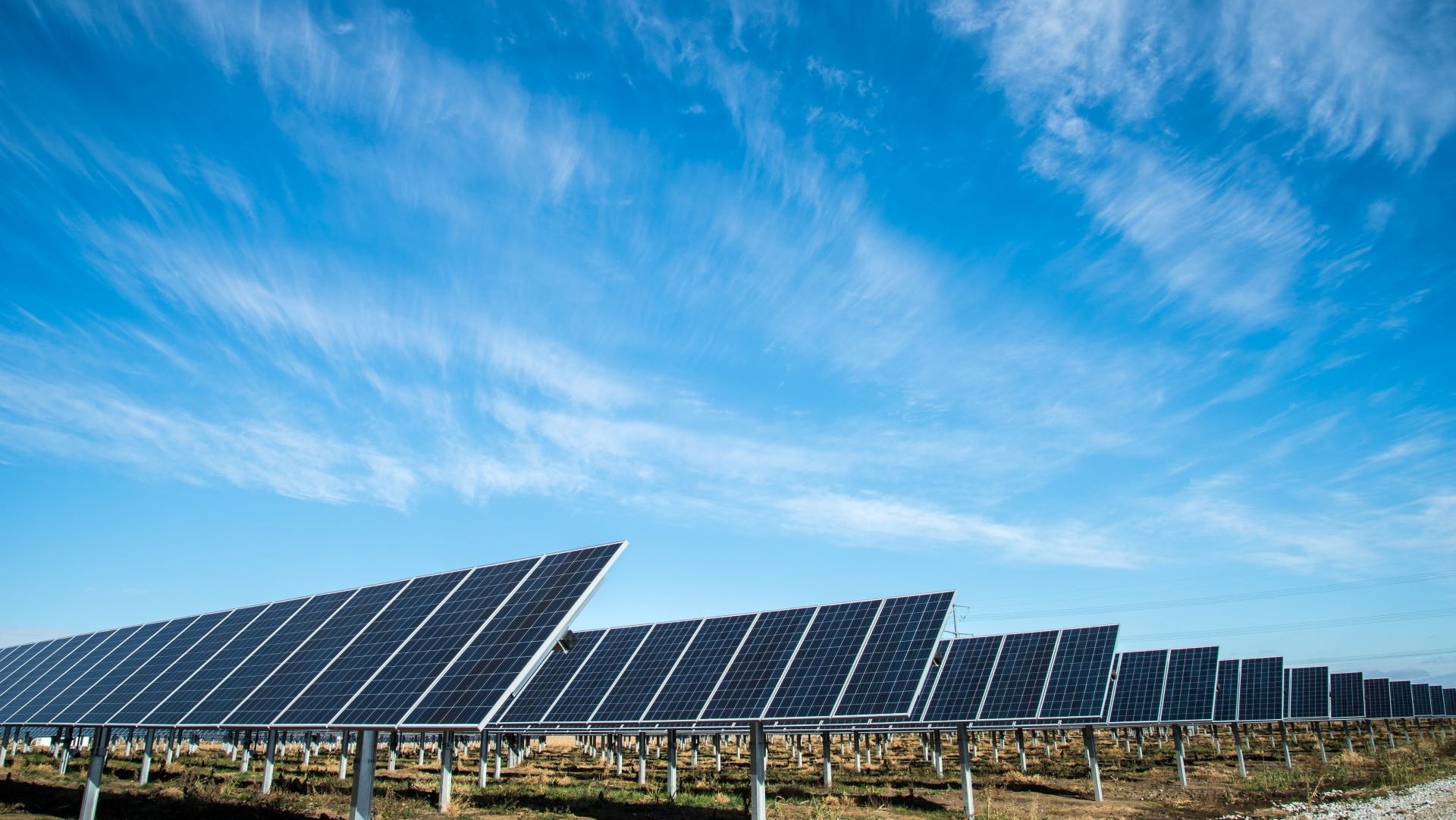 Rows of solar panels on grassy ground set against bright blue sky
