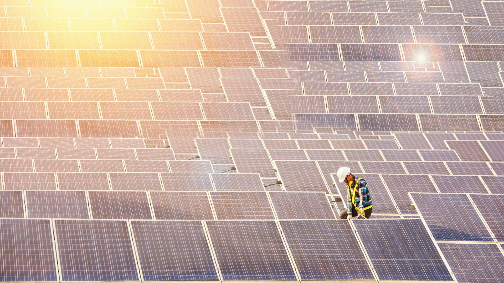 Engineer wearing hard hat, standing by solar panels in solar farm