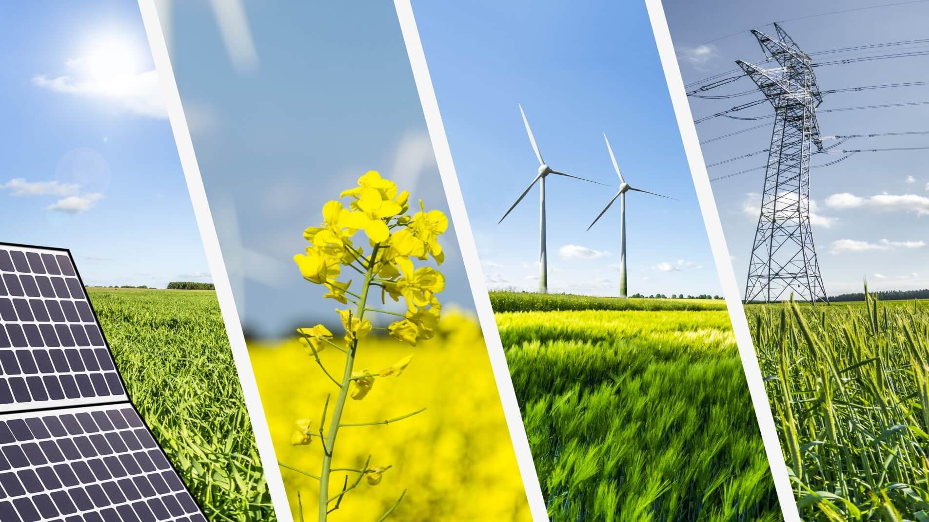 Clean energy compilation - solar panels, crops in a field, wind turbine and electricity pylon