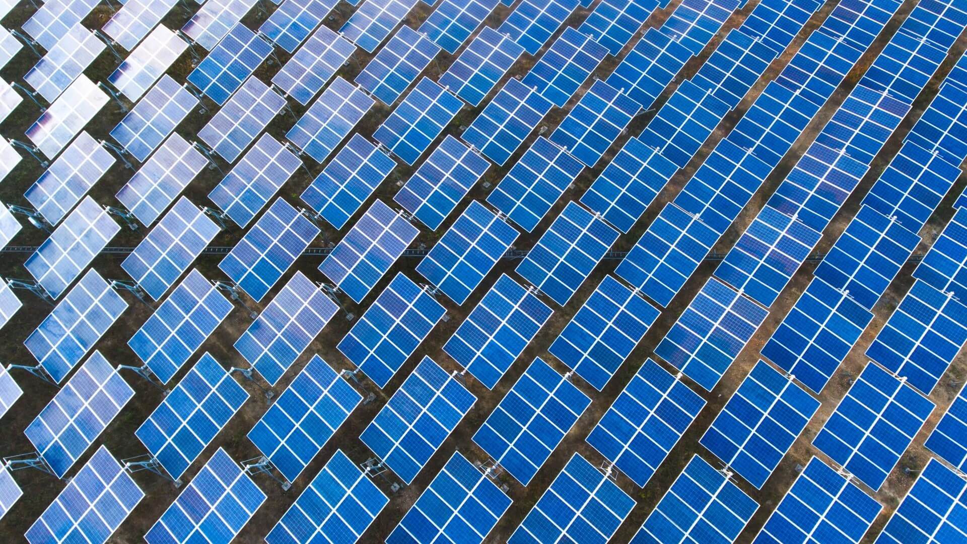 Aerial view of rows of solar panels in a field