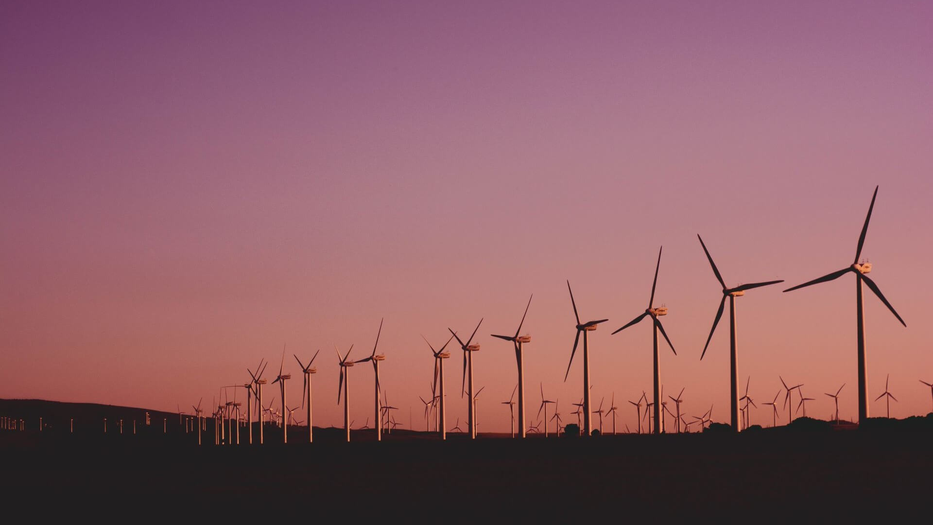 Row of onshore wind turbines set against pink and orange sunset
