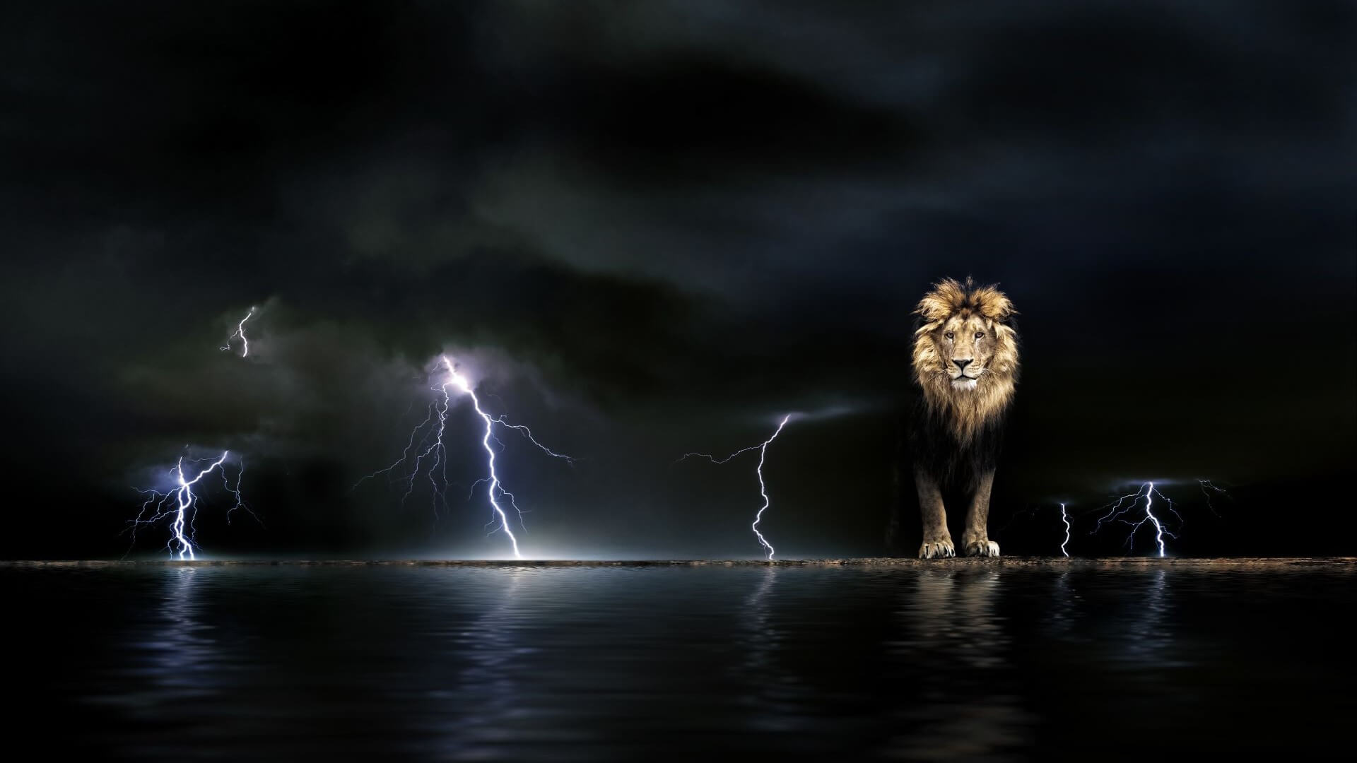 Lion against black sky with lightning bolts