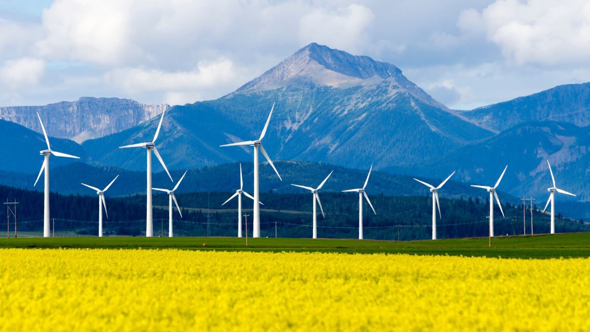 Wind farm in Alberta with mountains in background, fields in foreground