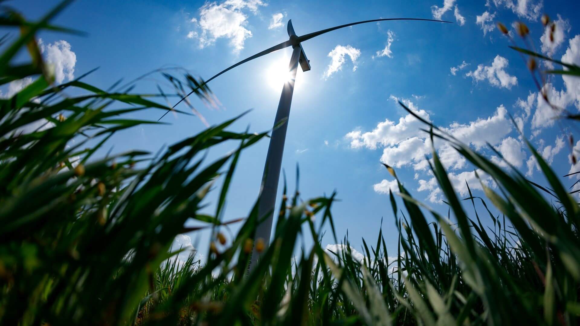 View looking up at wind turbine from ground level