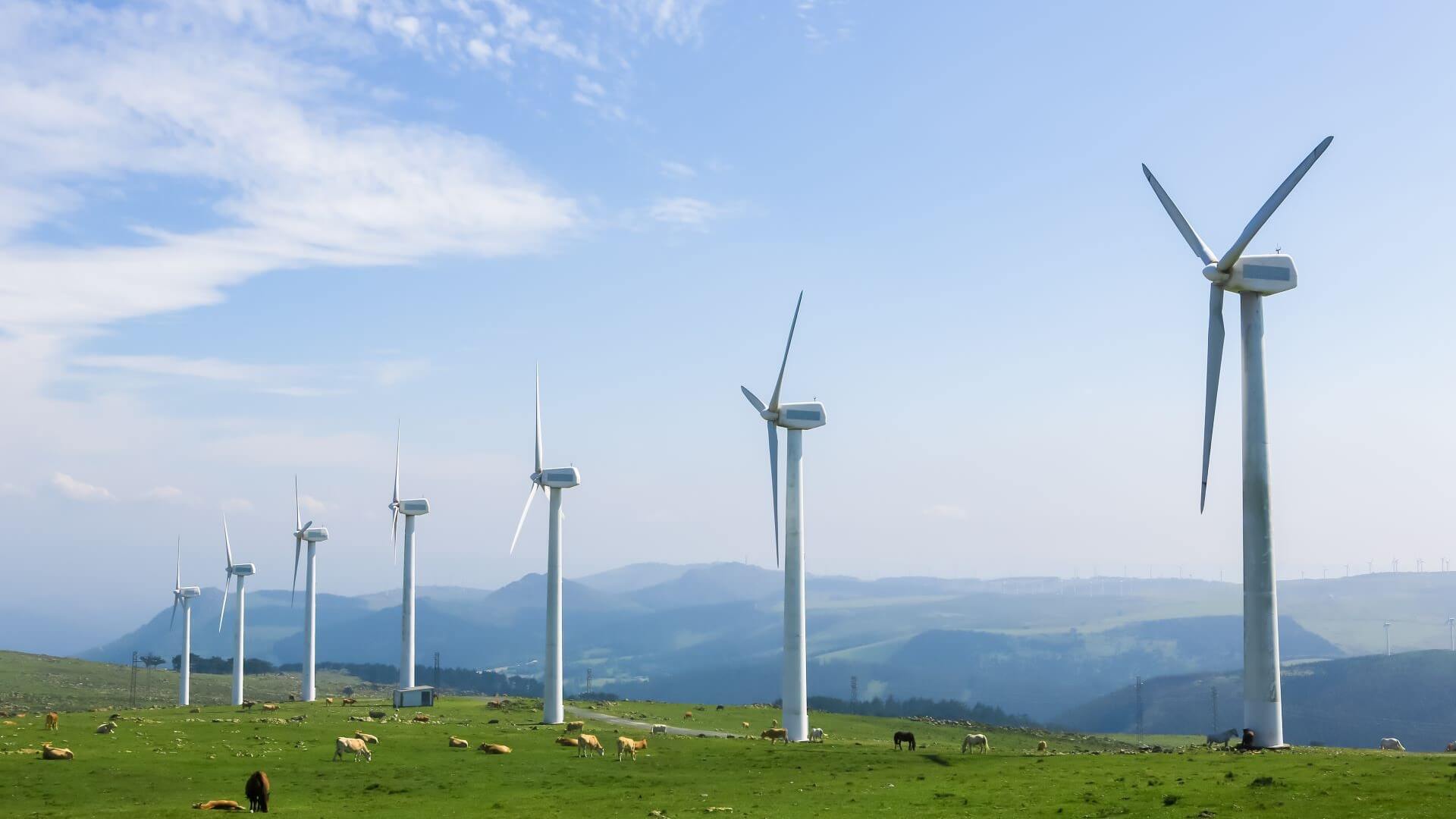 Onshore wind farm in rural setting