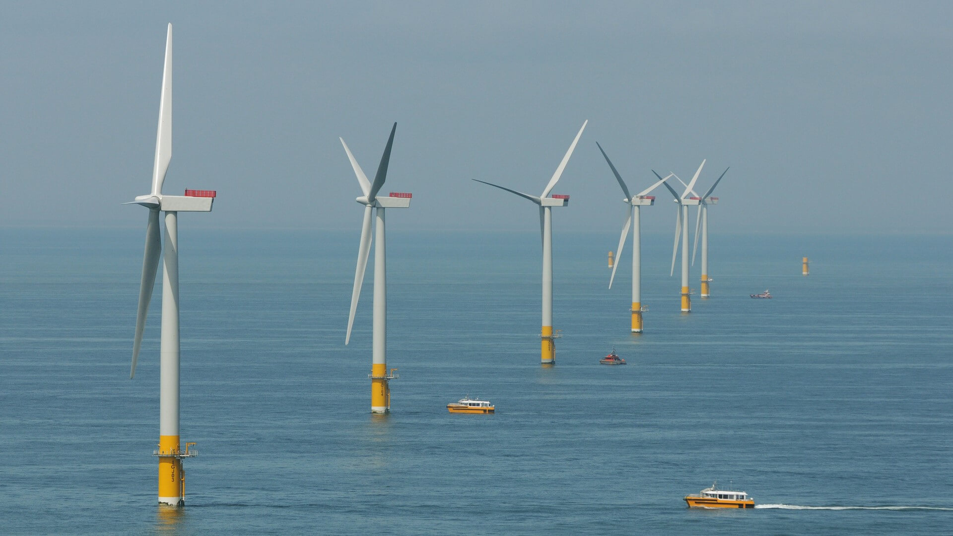 Row of offshore wind turbines running diagonally across photo and into distance
