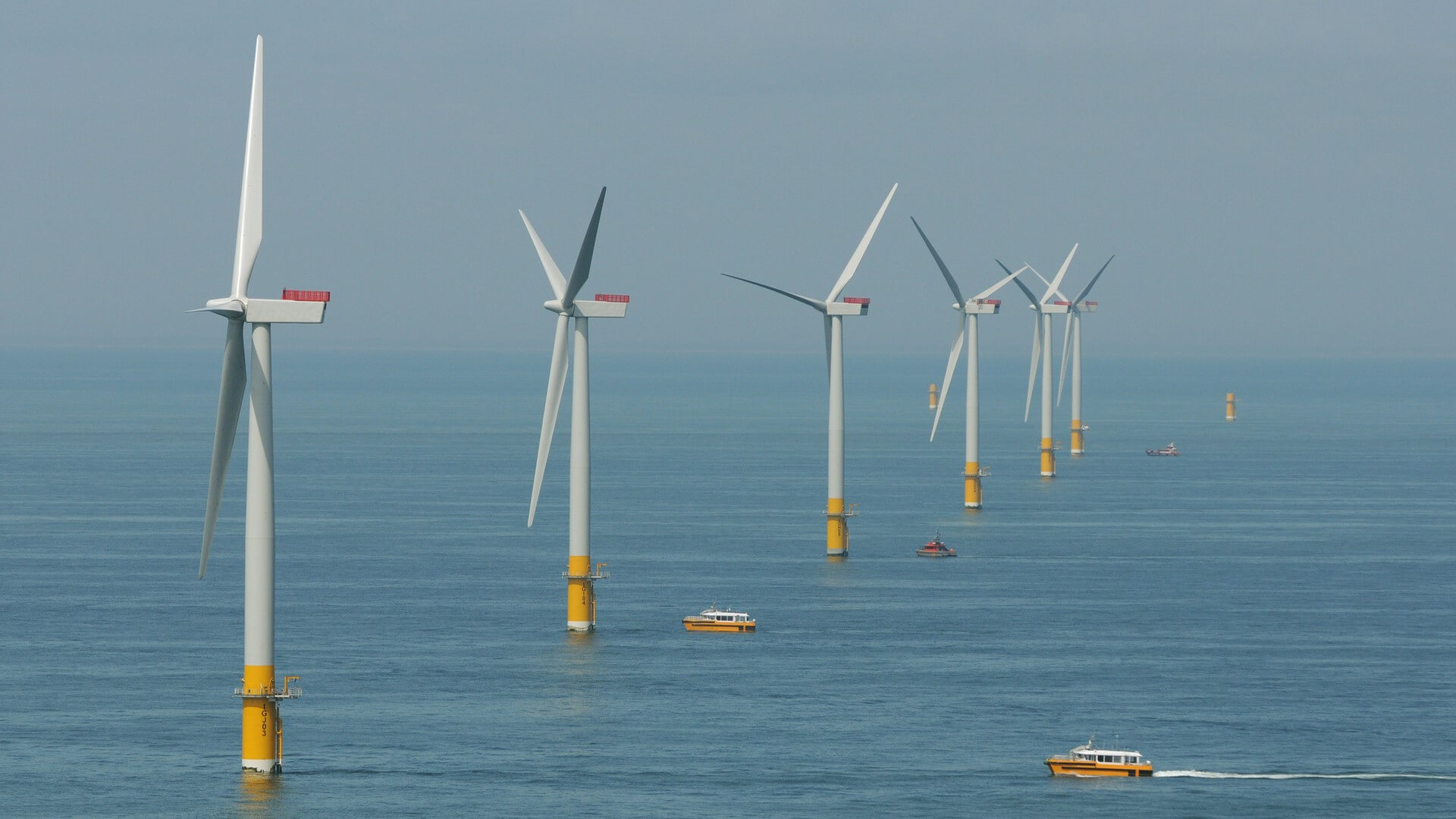Row of offshore wind turbines running diagonally across photo and into distance