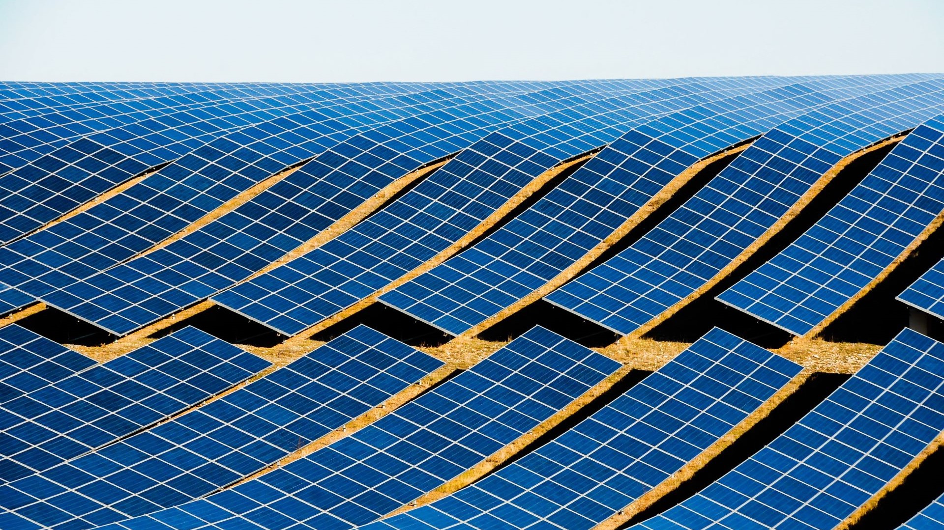 close up of two rows of solar panels