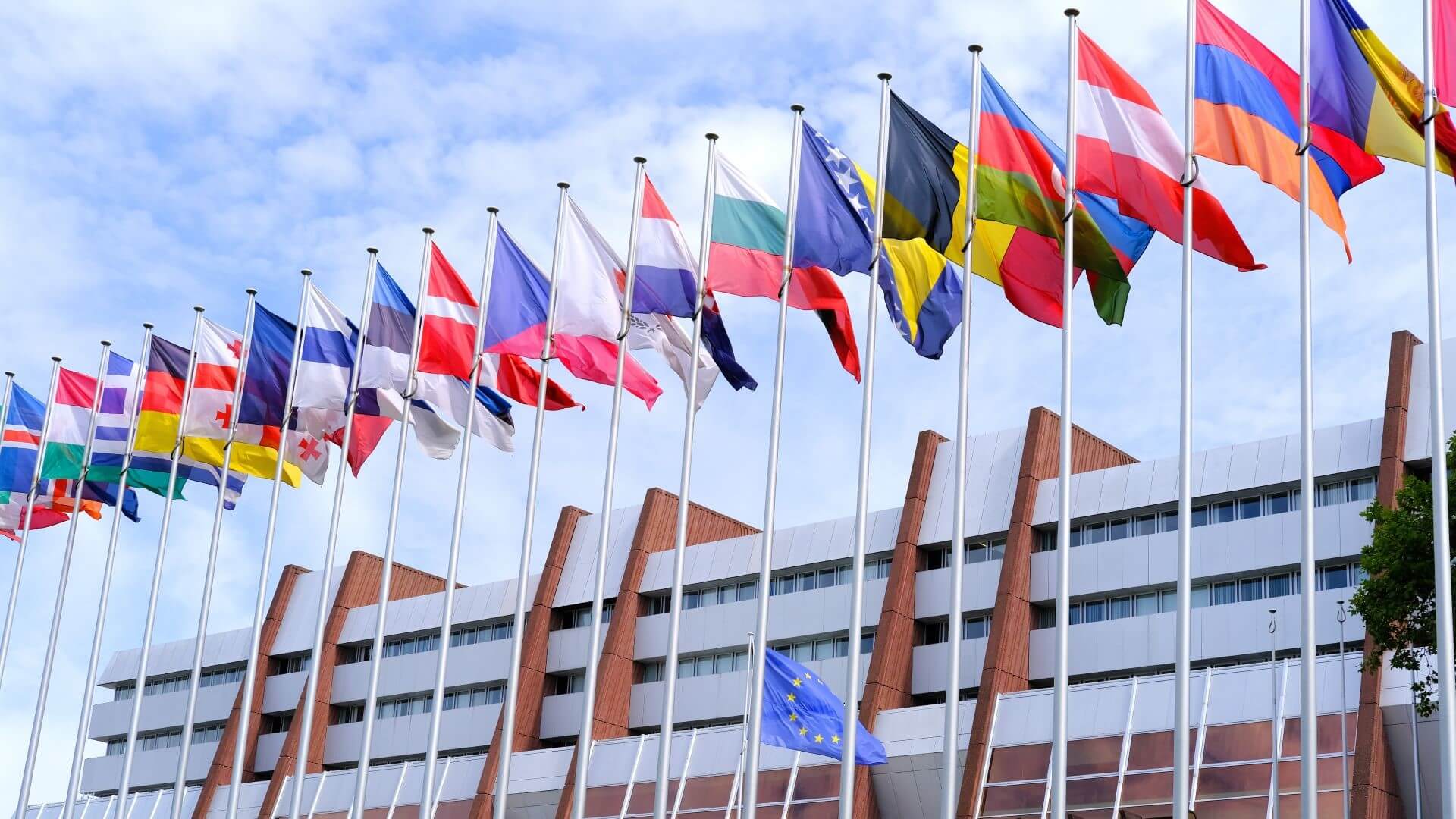 Individual country flags of the European Union flying in front of building 
