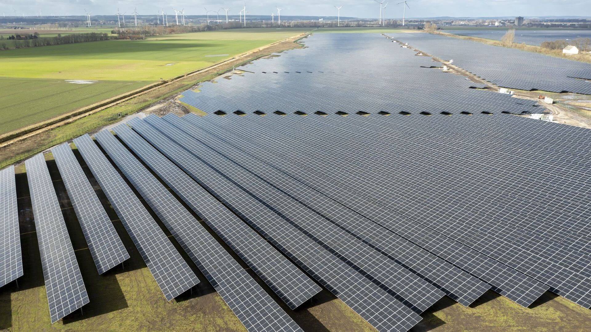 Row upon row of solar panels in large solar farm, with wind turbines visible on horizon in far distance