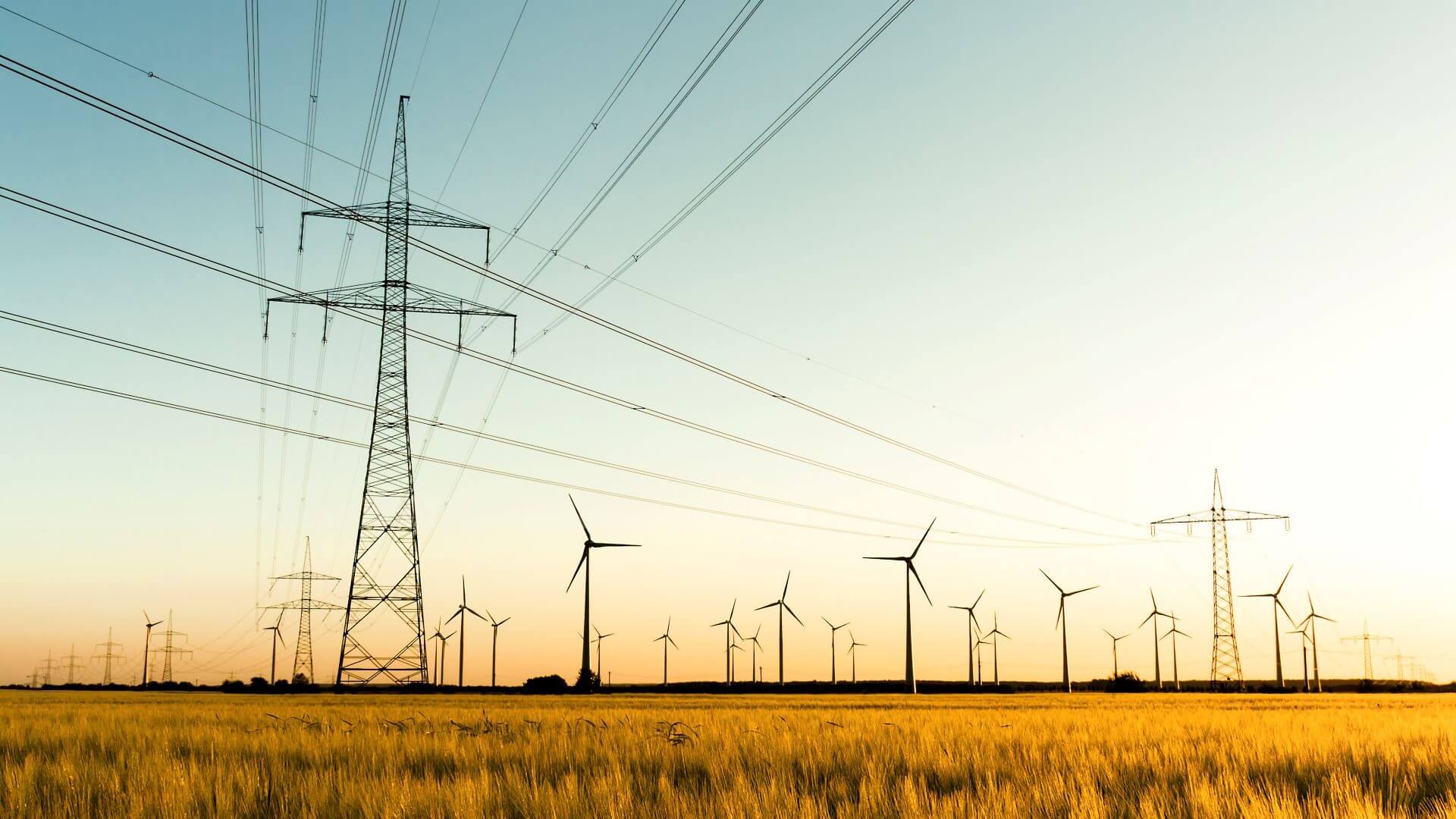 Wind turbines and pylons in a field with setting sun