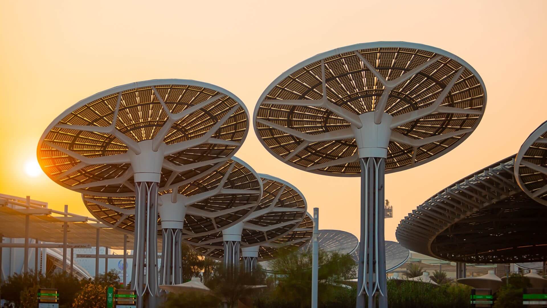 Solar panels on pillars pointing to the sun at sunset