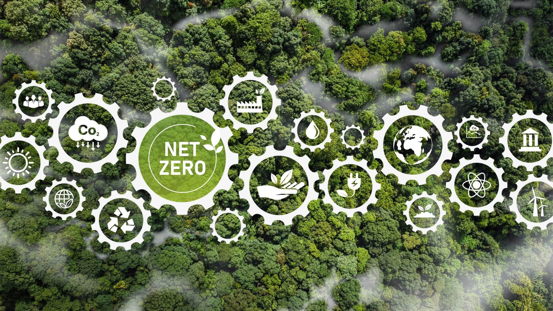 Graphic of cogs and gears depicting net zero over a green forest