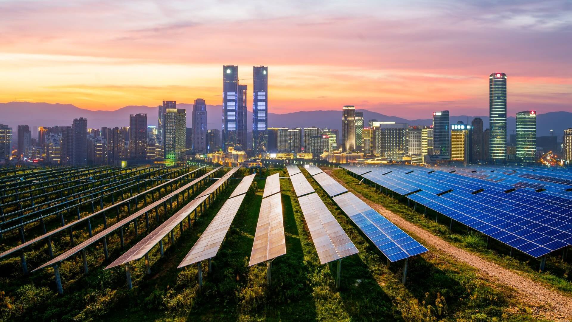 Solar panels in Beijing with city skyline in background