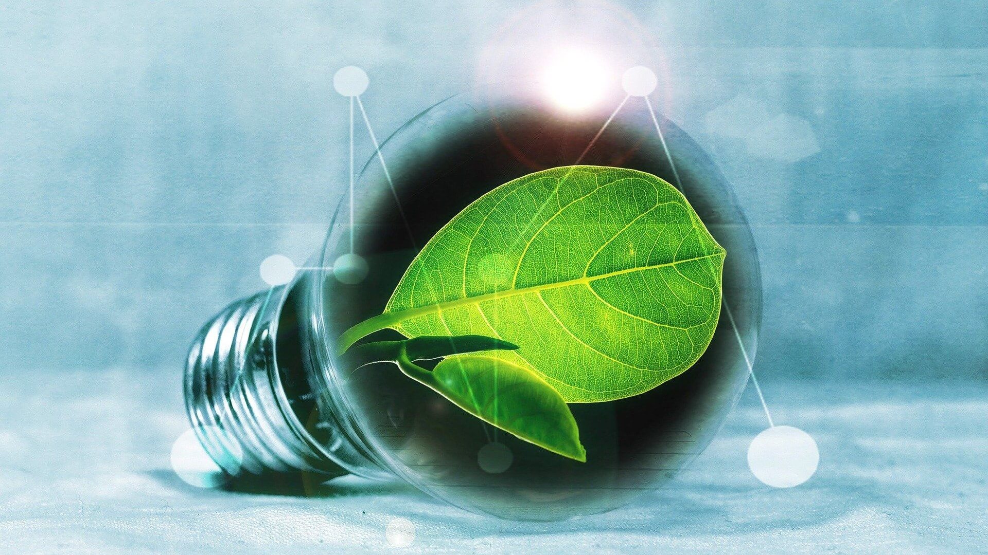 Graphic of green leaf growing inside a light bulb