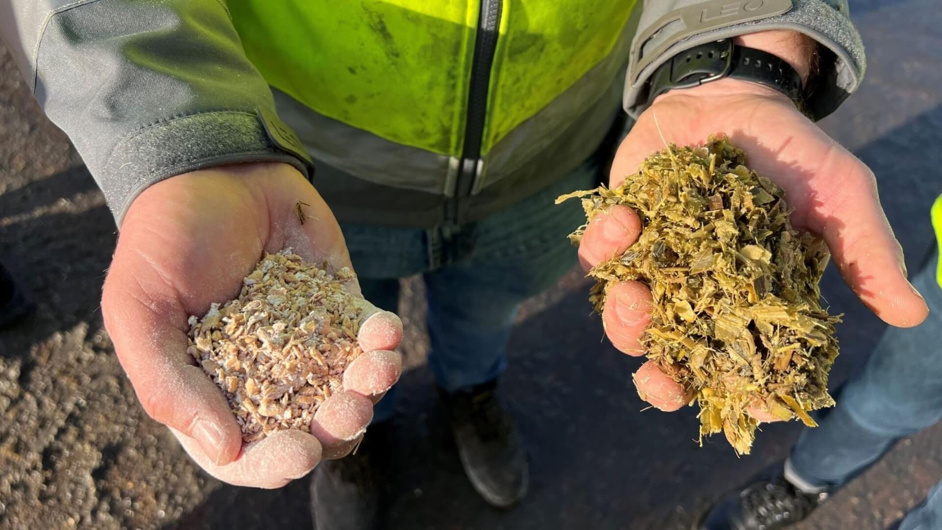 Close up of two hands, each palm upwards, holding a different form of shredded biomass feedstock