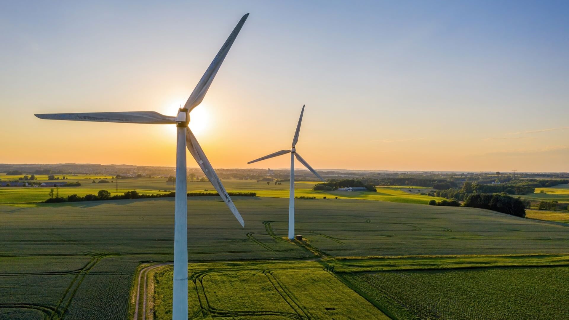 Wind turbines in a field at sunset