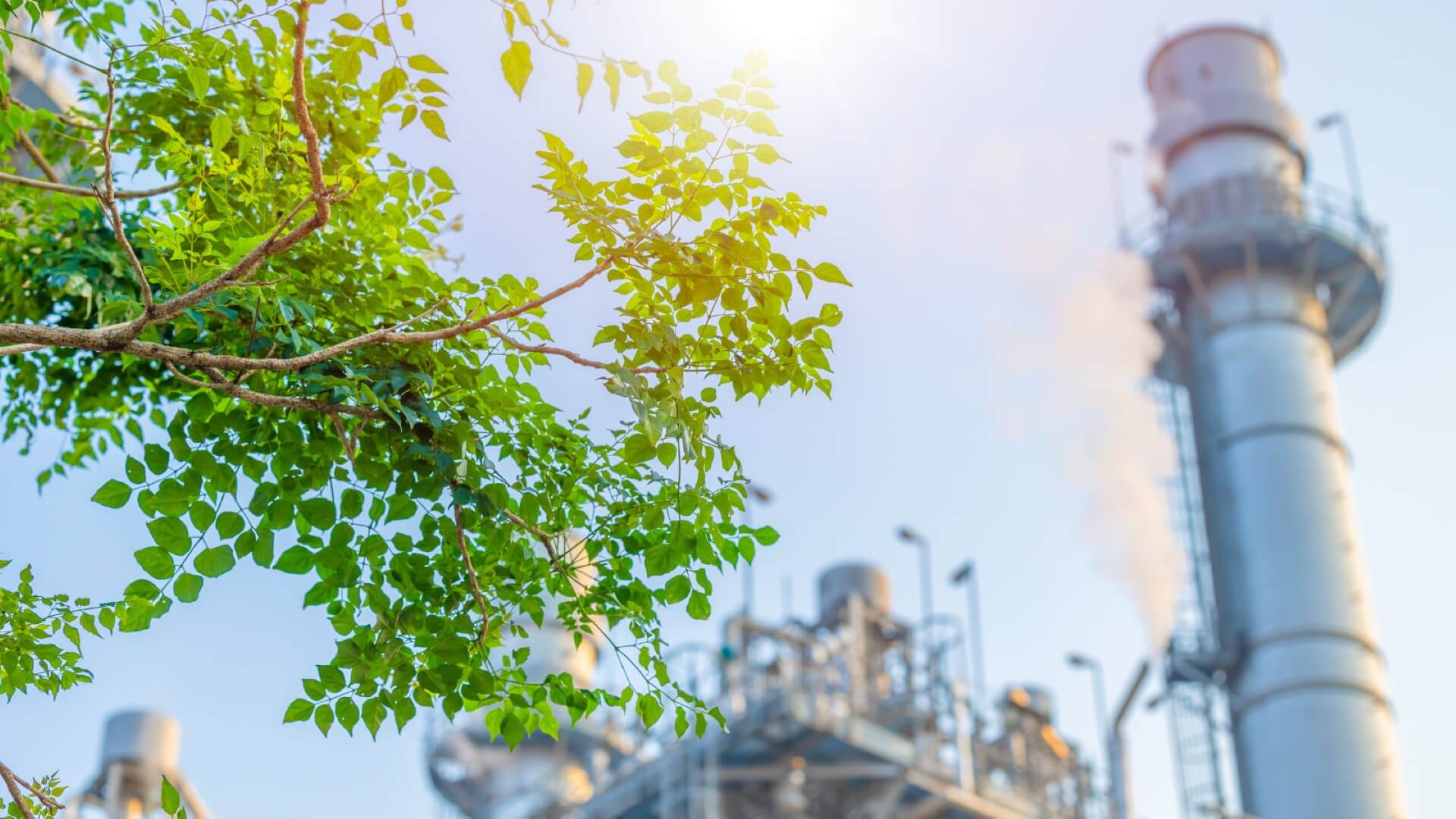 Top of industry pipework and stacks in background with green leaves of tree branches in foreground, set against blue sky
