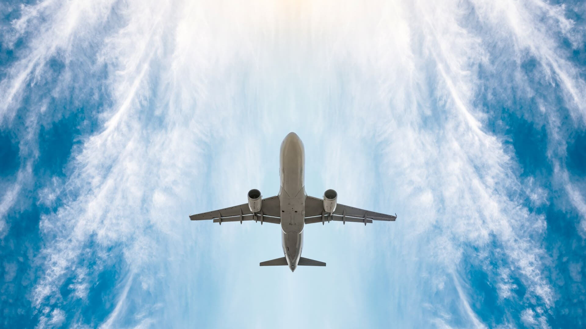 Plane in flight