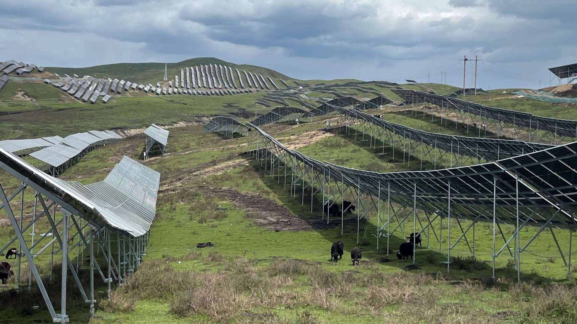 Solar panels on a hillside