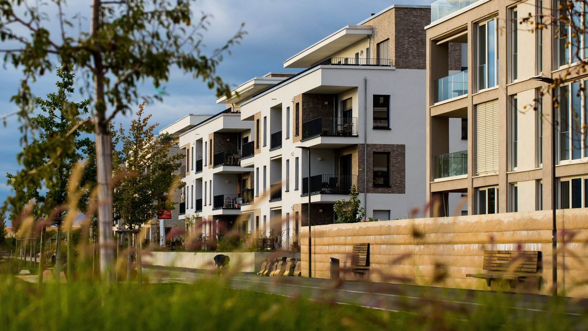 Row of modern, energy efficient housing with lots of windows