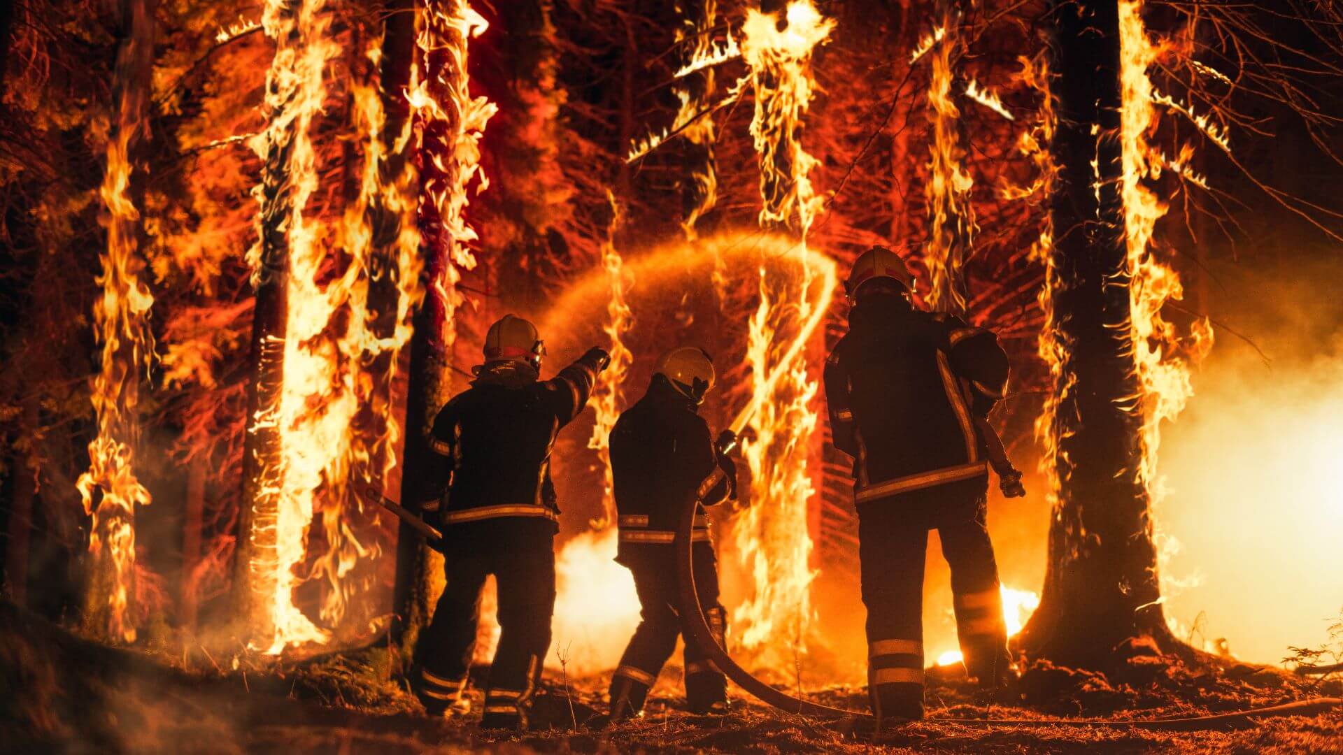 Three firefighters tackling a forest fire