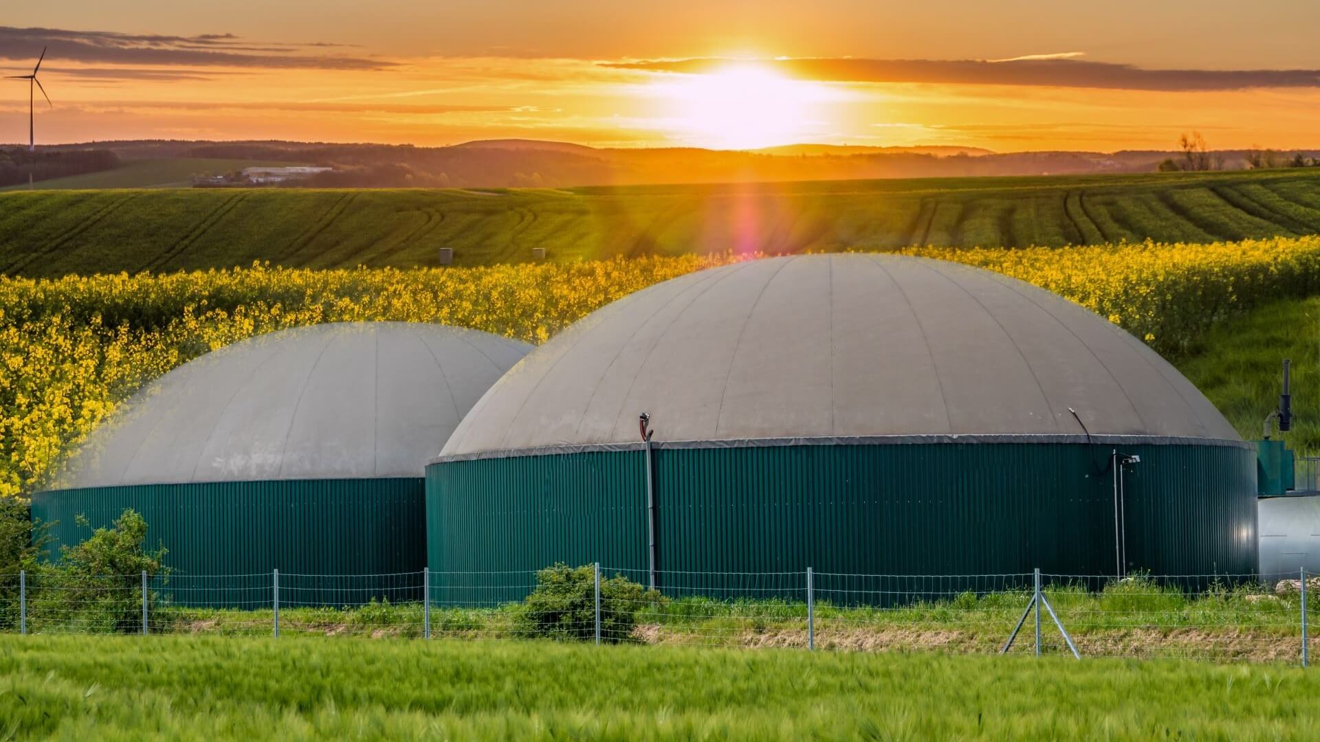 Two biofuels storage tanks amongst fields