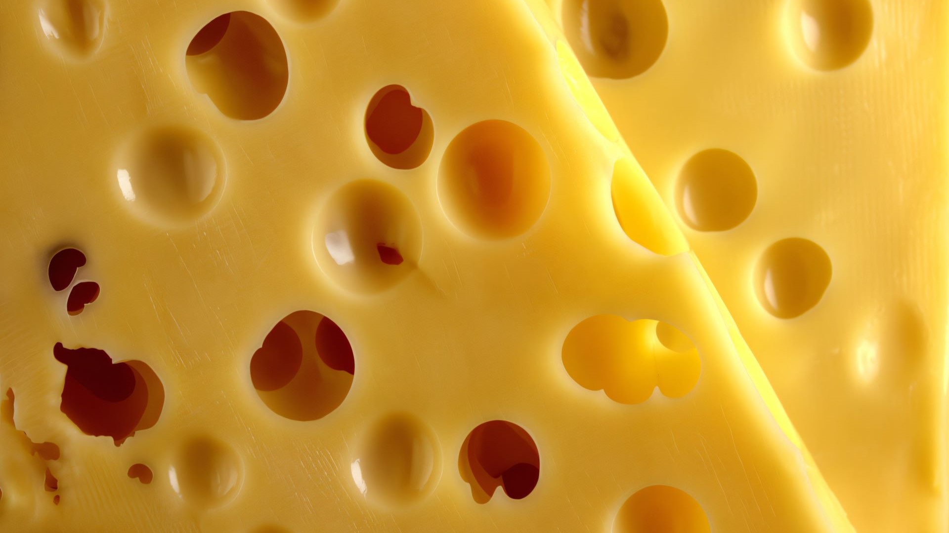 Close up photo of slice of Swiss Cheese, showing lots of holes within the slice