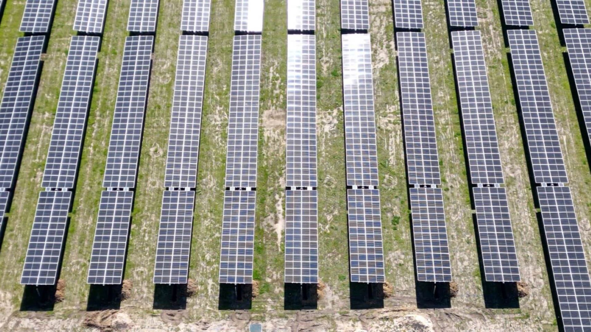 Aerial view of rows of solar panels in a field