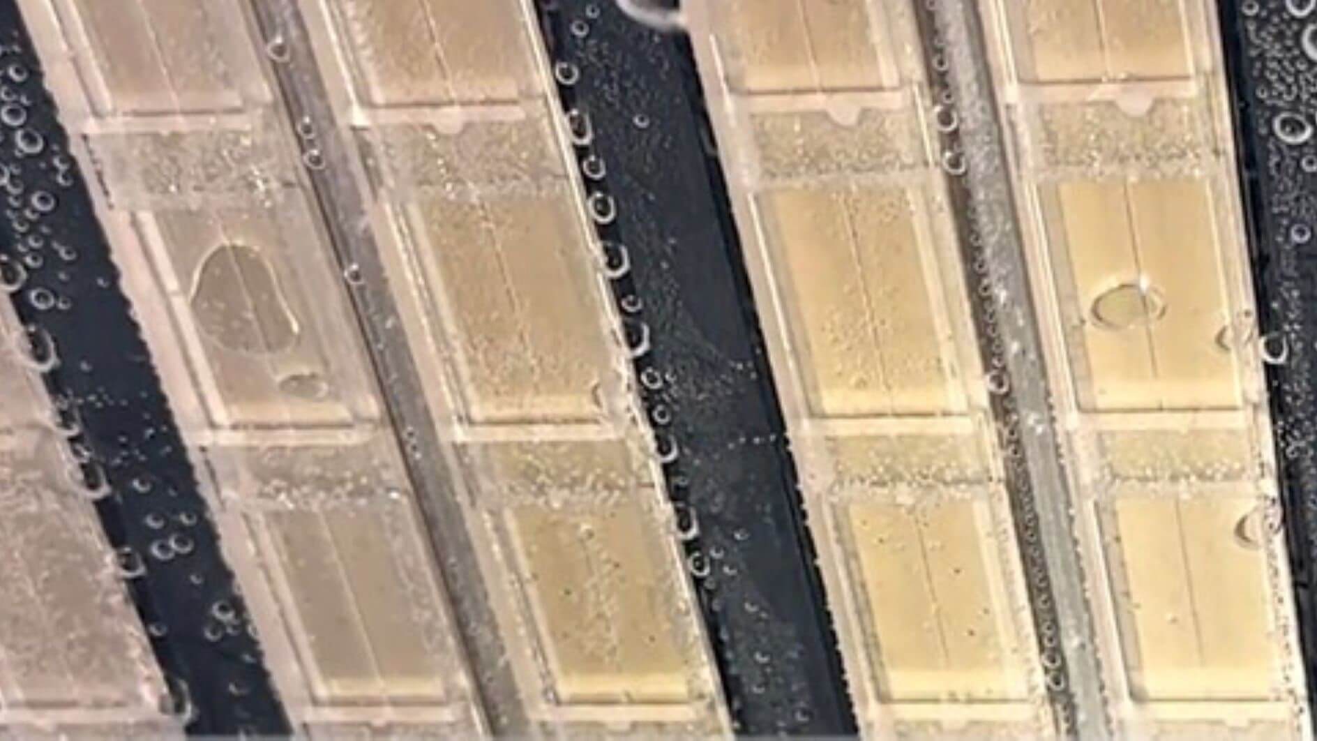 Close up of panel 