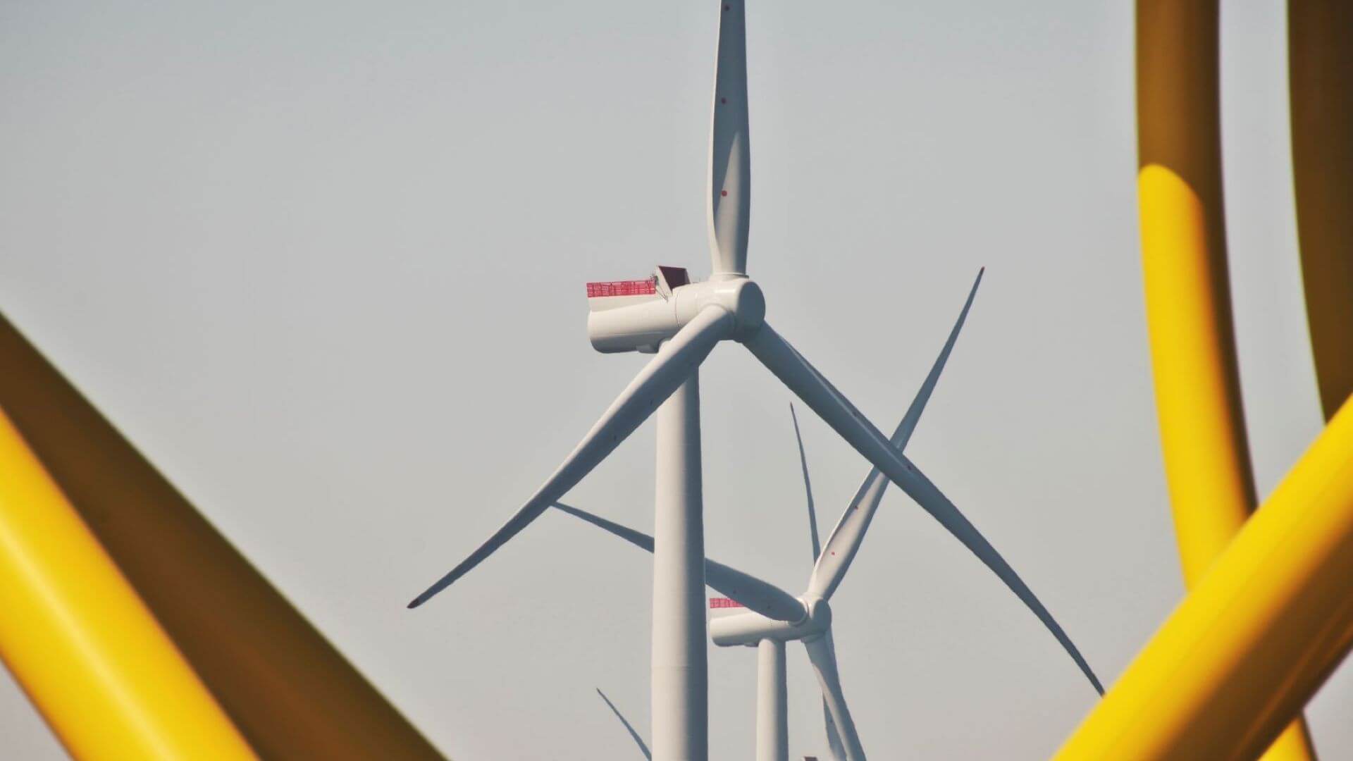 Group of offshore wind turbines