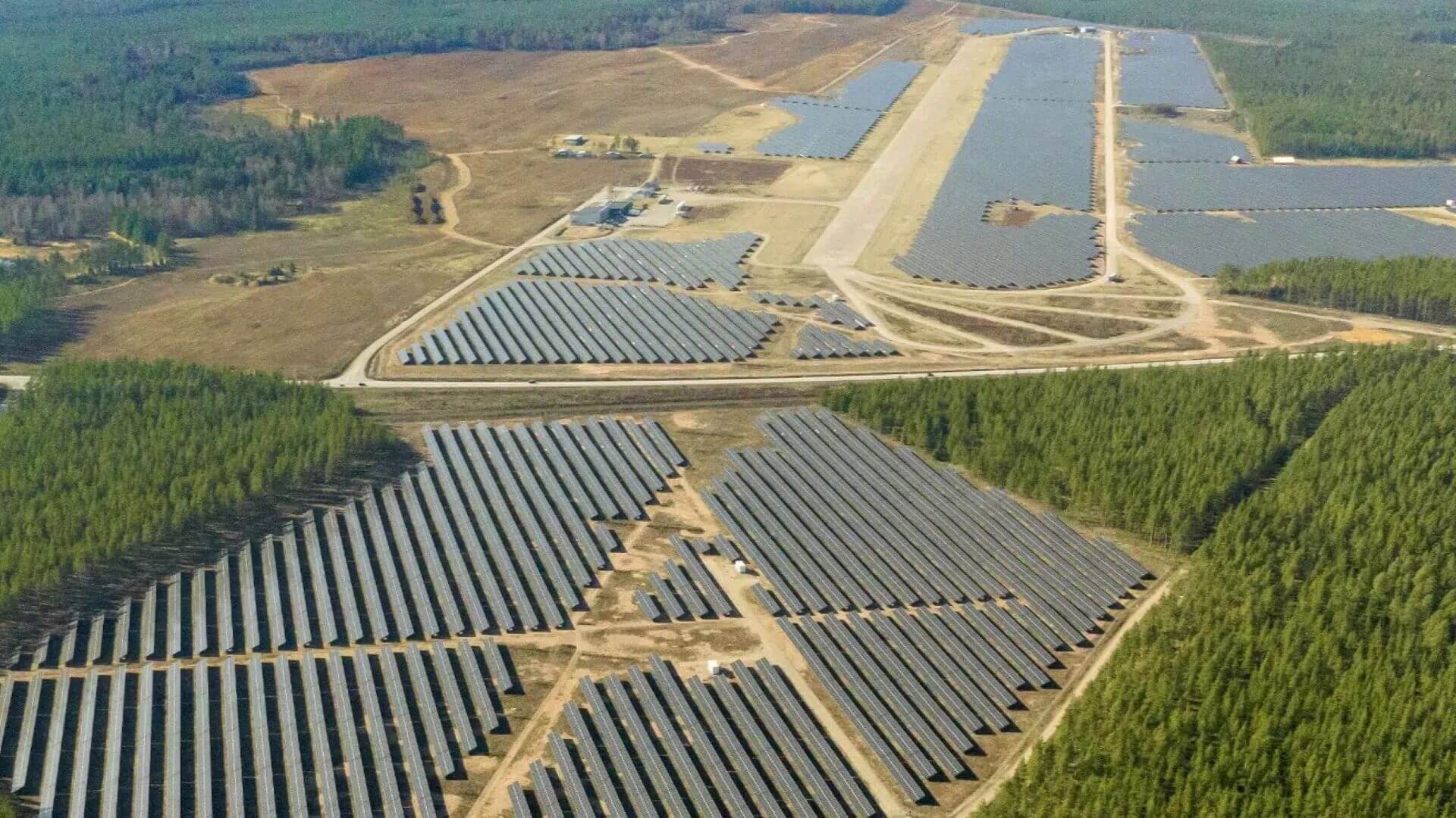 Aerial view over solar farm showing grid of row upon row of solar panels with scrubby grass and cultivated forest to side of image