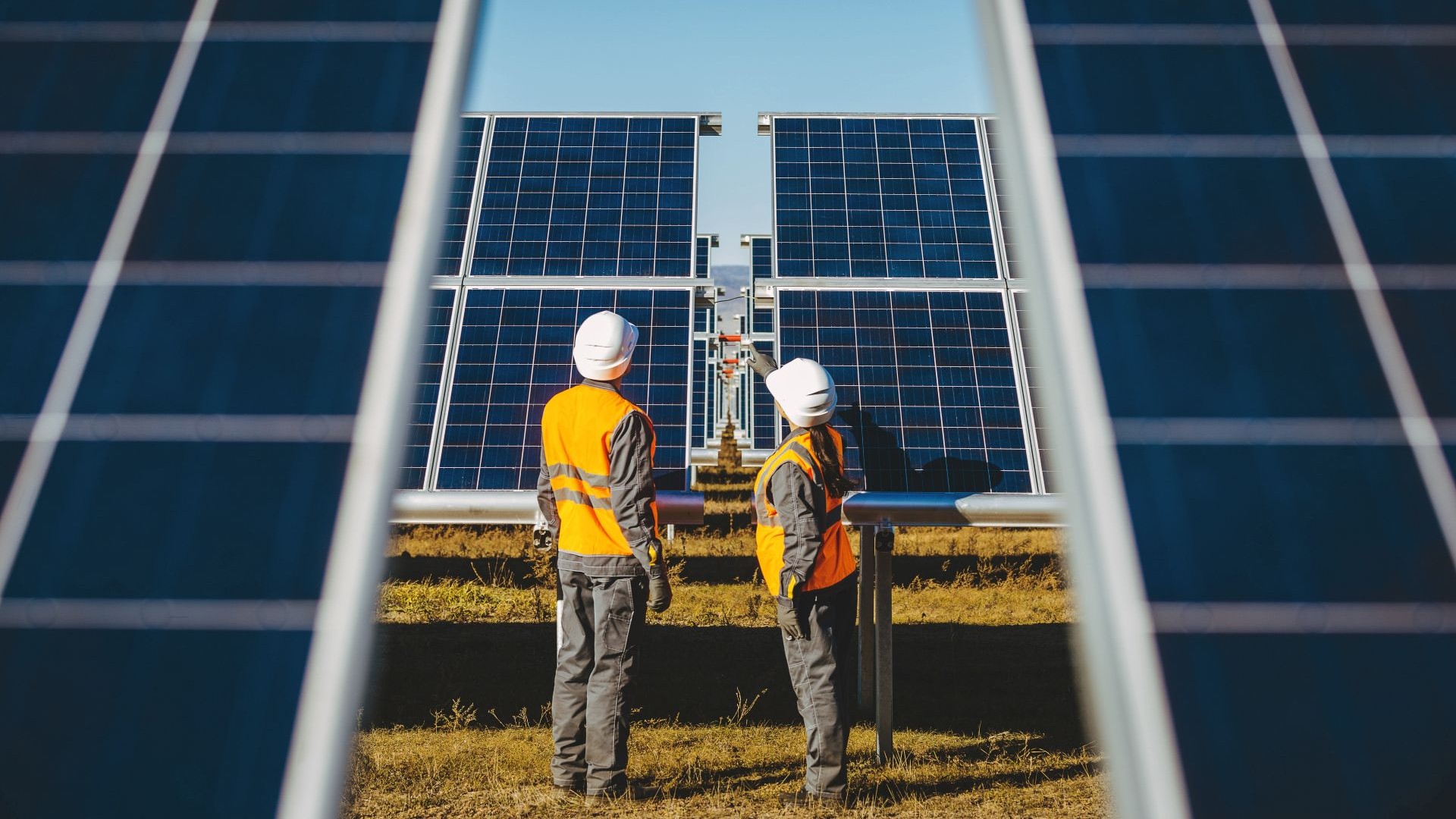 Two engineers in between rows of solar panels